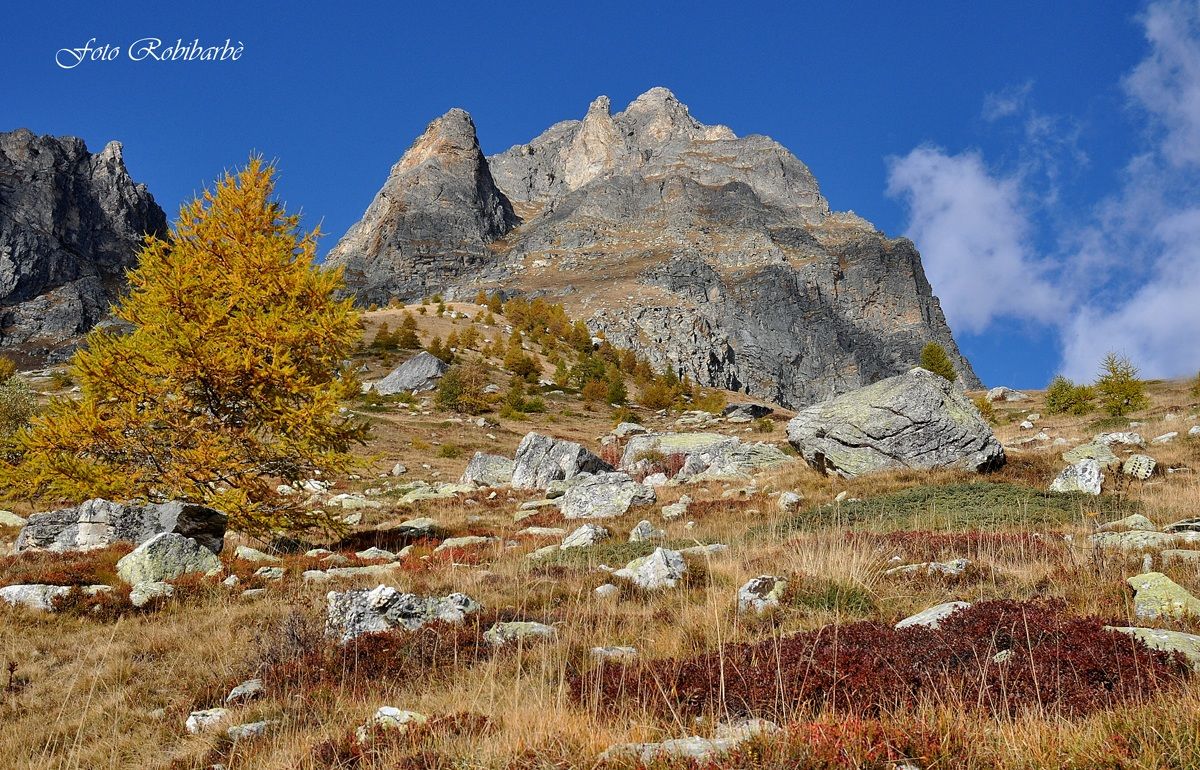 Autunno in quota .......