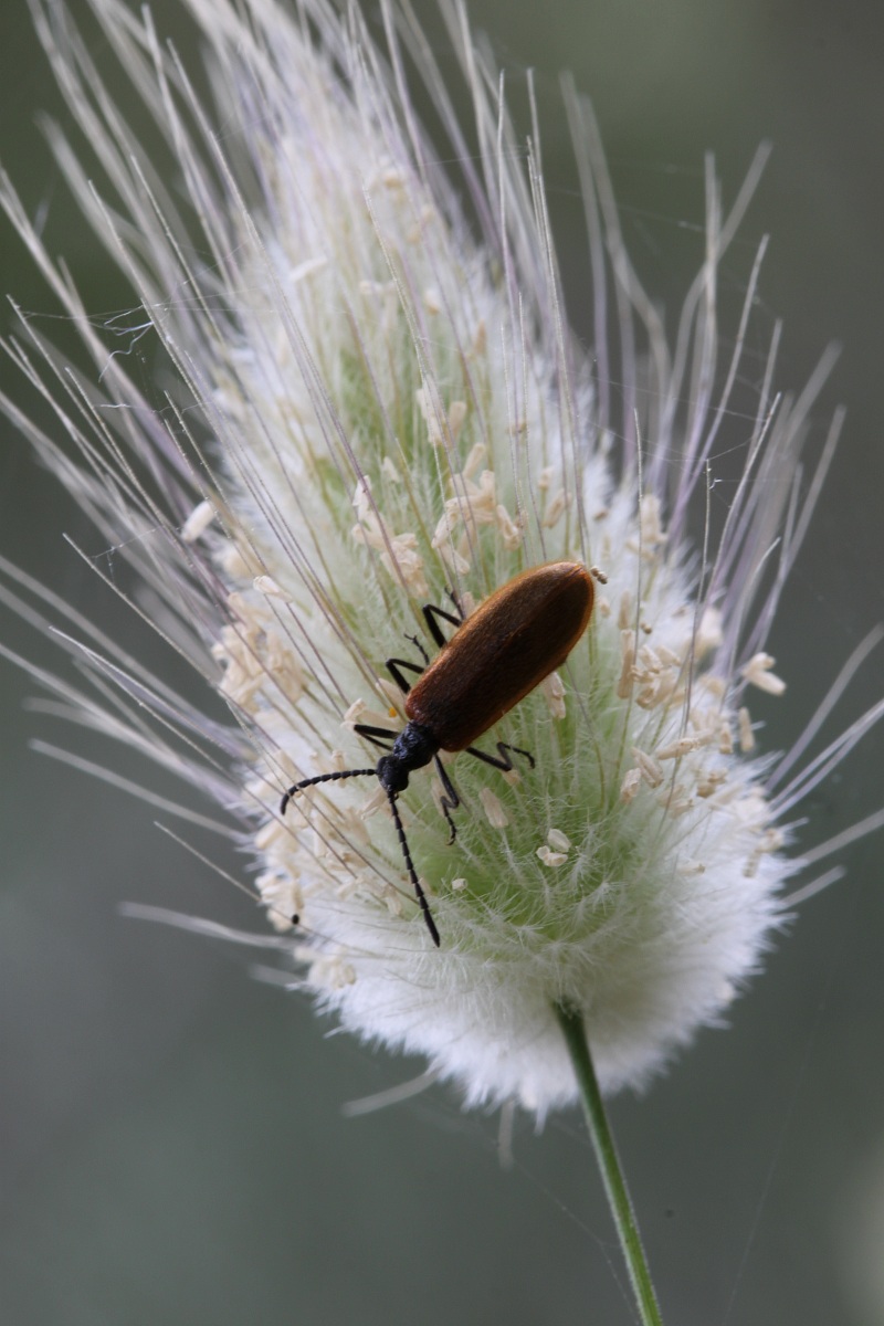 Ciascuno ha il suo mondo