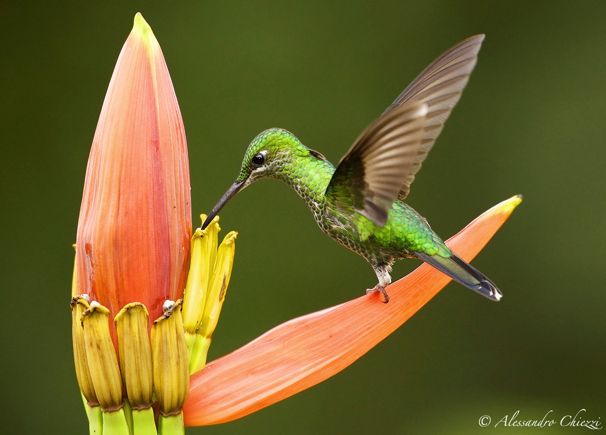 Un delicato prelievo