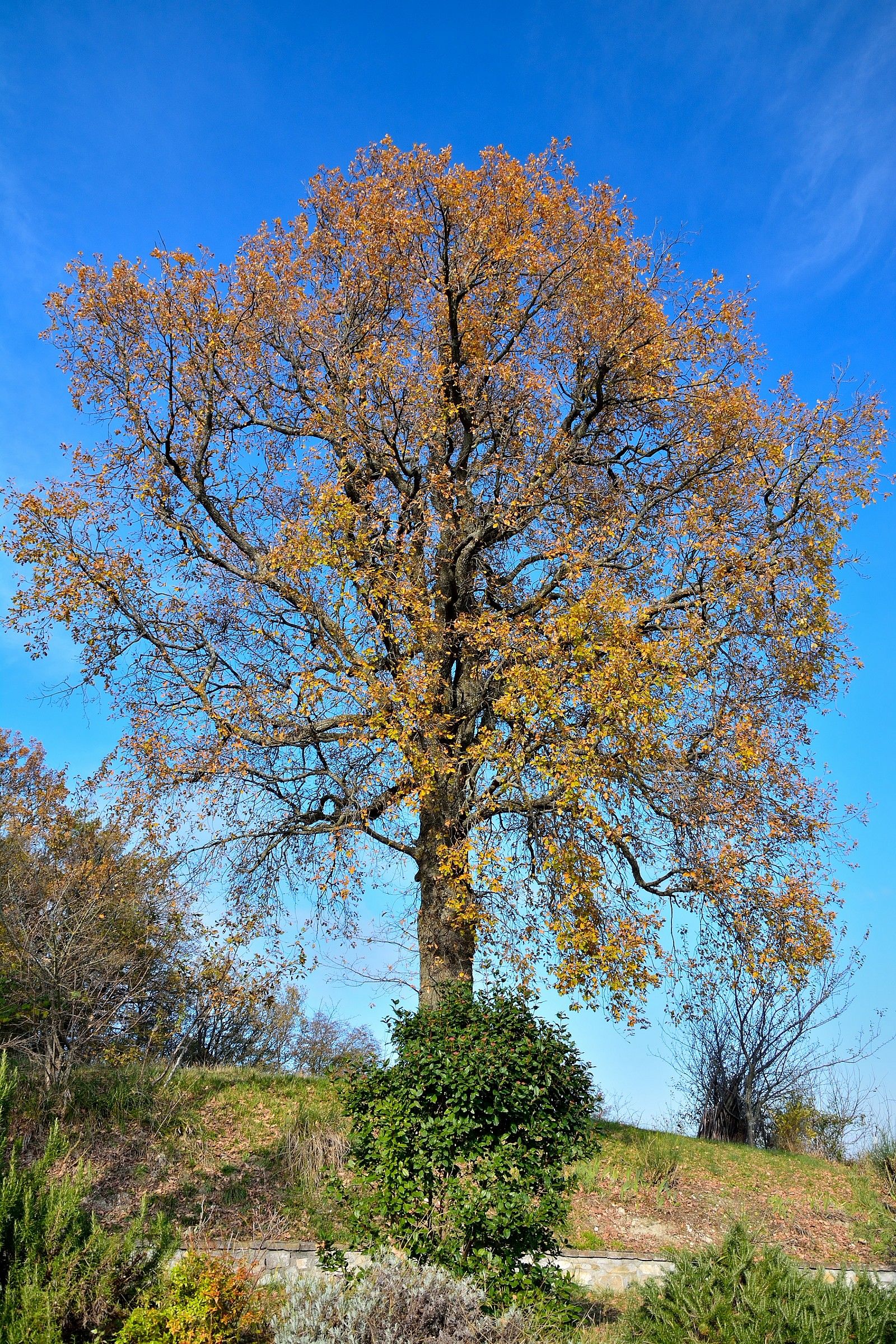 Semplicemente mi ha colpito