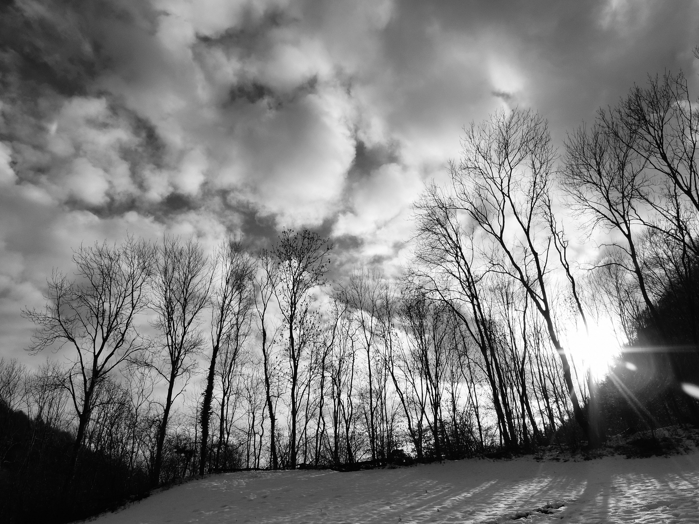 The first snow b / w