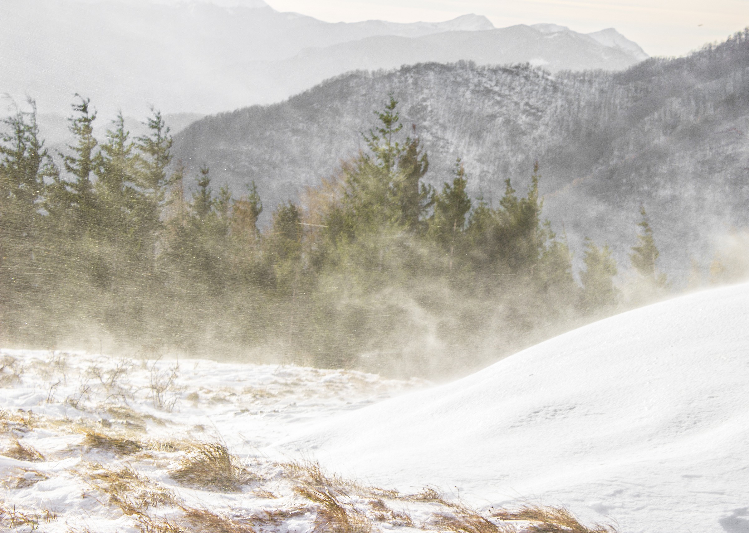 In the midst of the storm