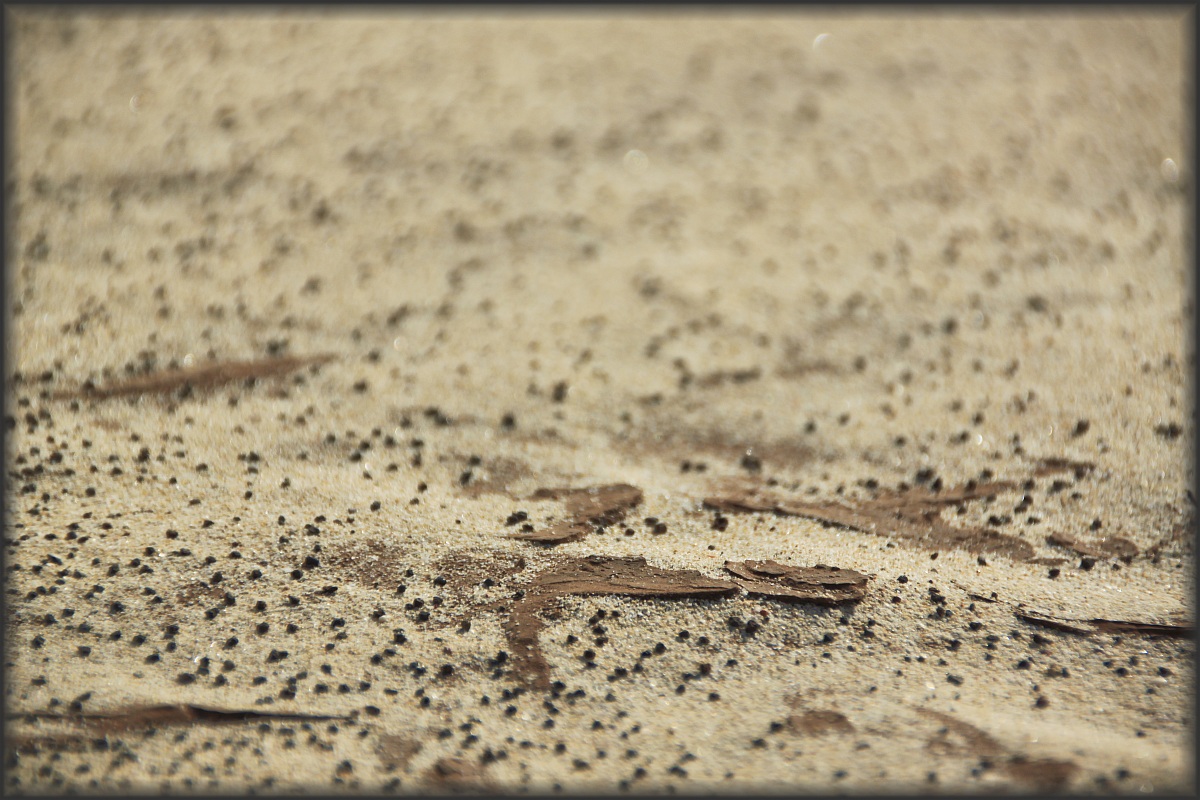 details in the desert