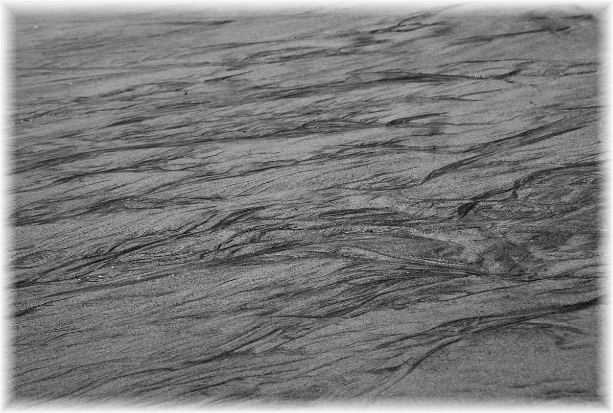 Lights and shadows in the sand