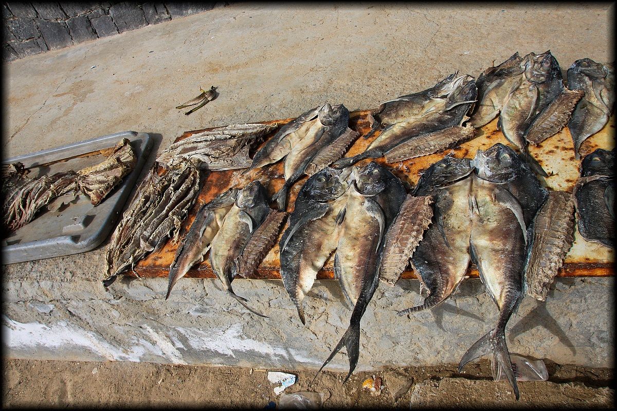 dried fish