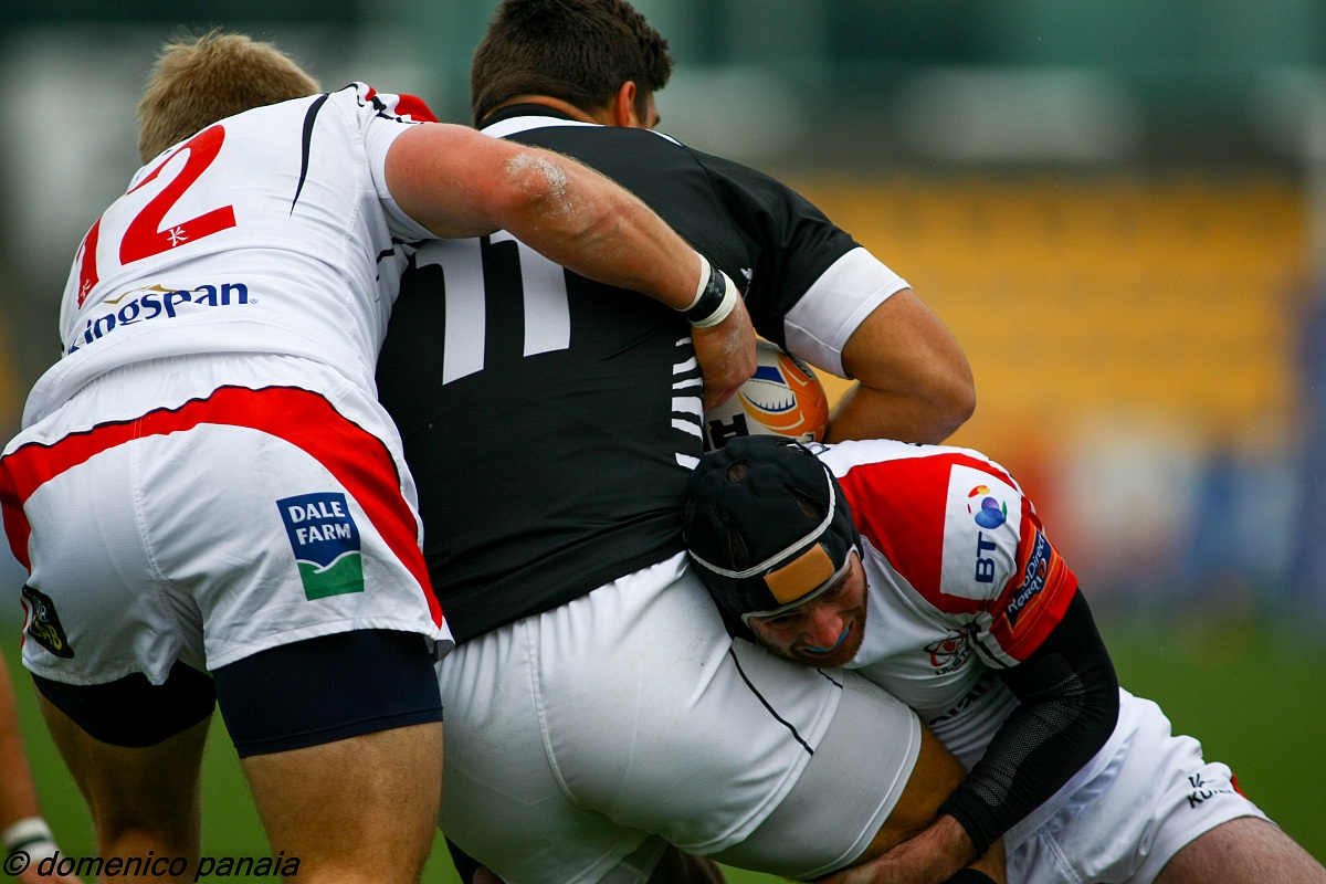 zebre vs ulster