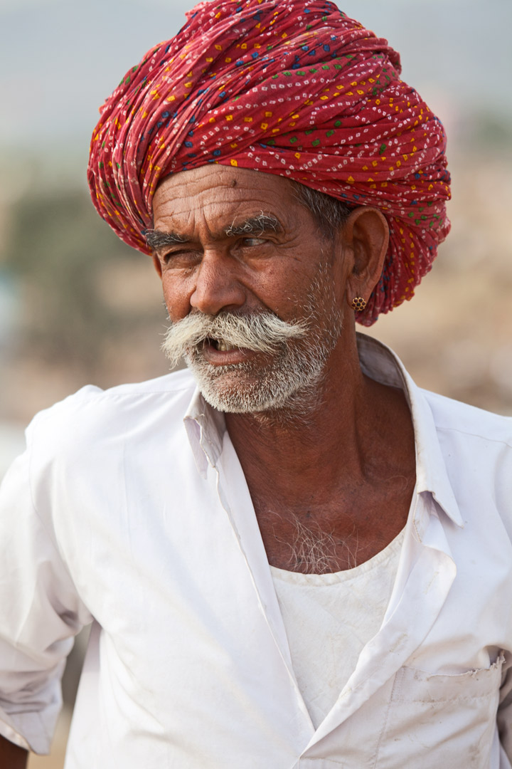 The Merchant of camels