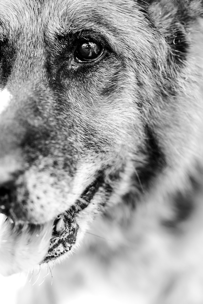 Guardando al passato...