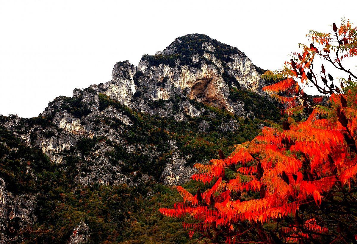 The Apennines of red Dolled Up