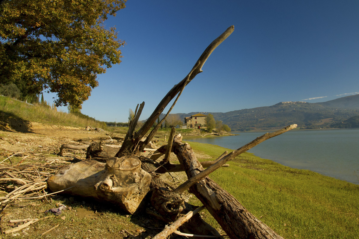 Lago di Corbara