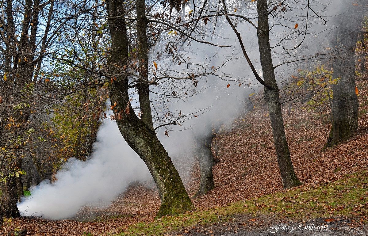 Un rito secolare ....