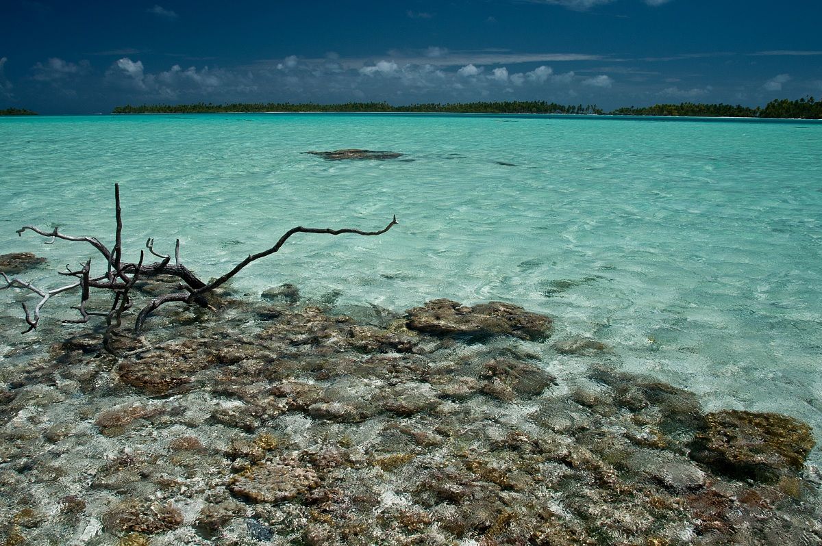 Blue lagoon of Rangiroa, Tuamotu Archipelago