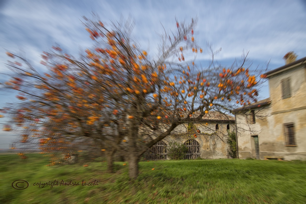 casa colonica romagnola in veste autunnale