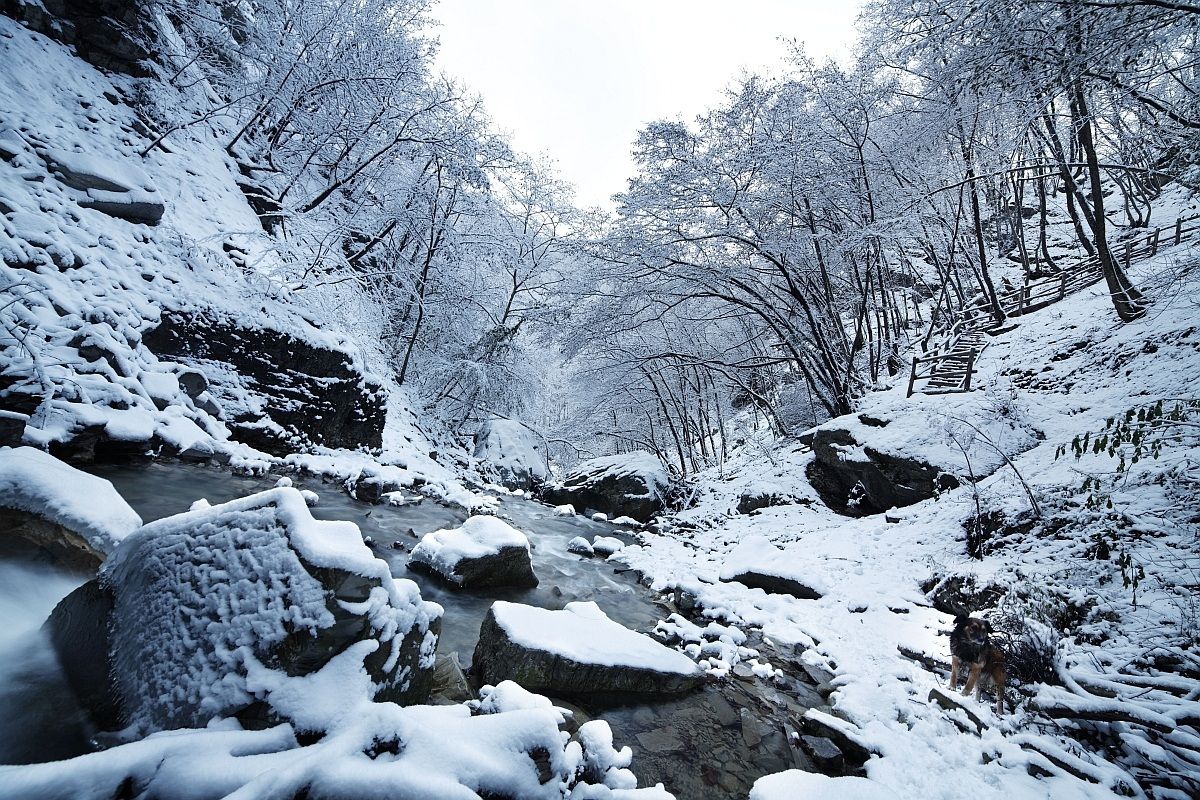 Torrente Perino e bosco innevato