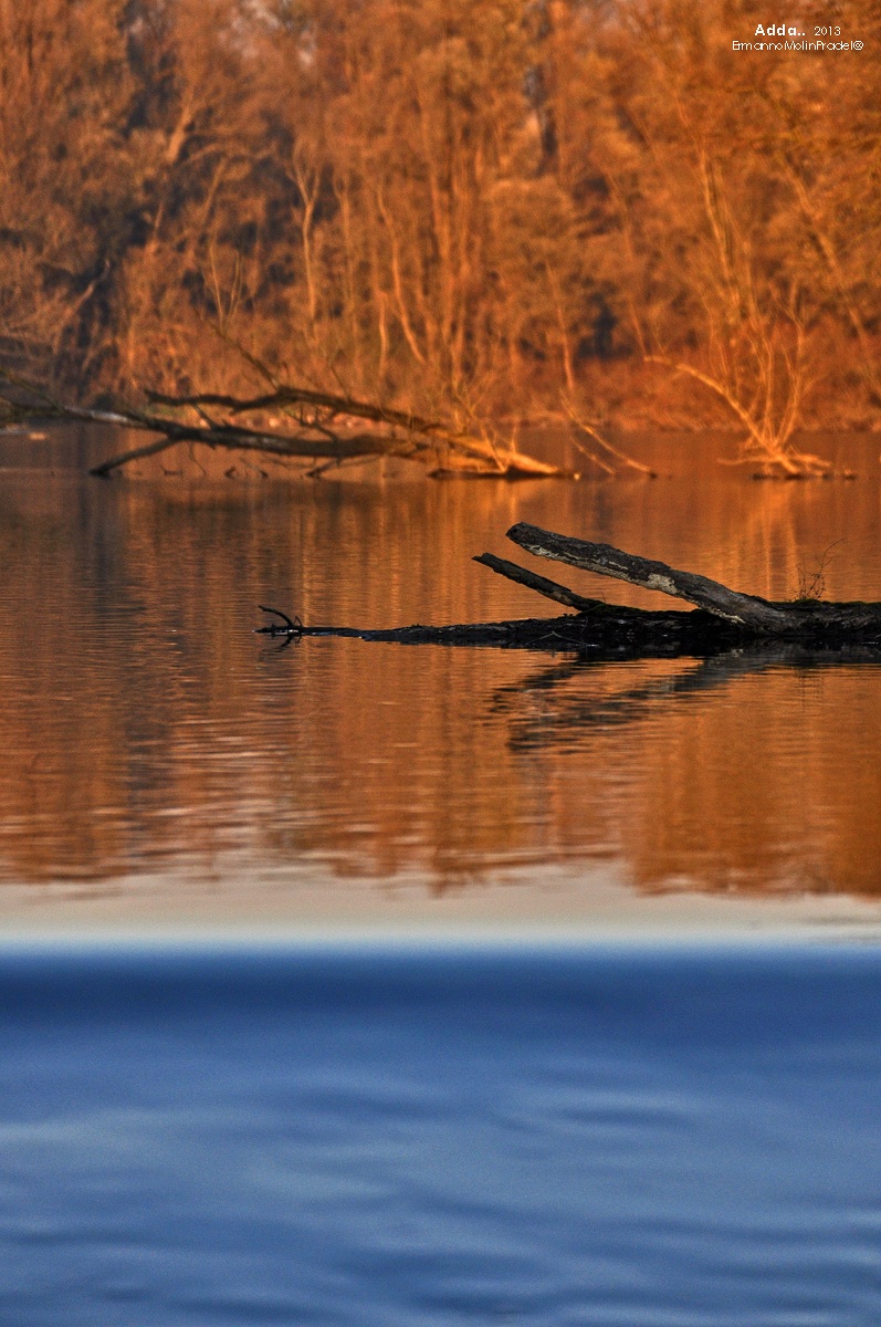 Liquids contrasts ..