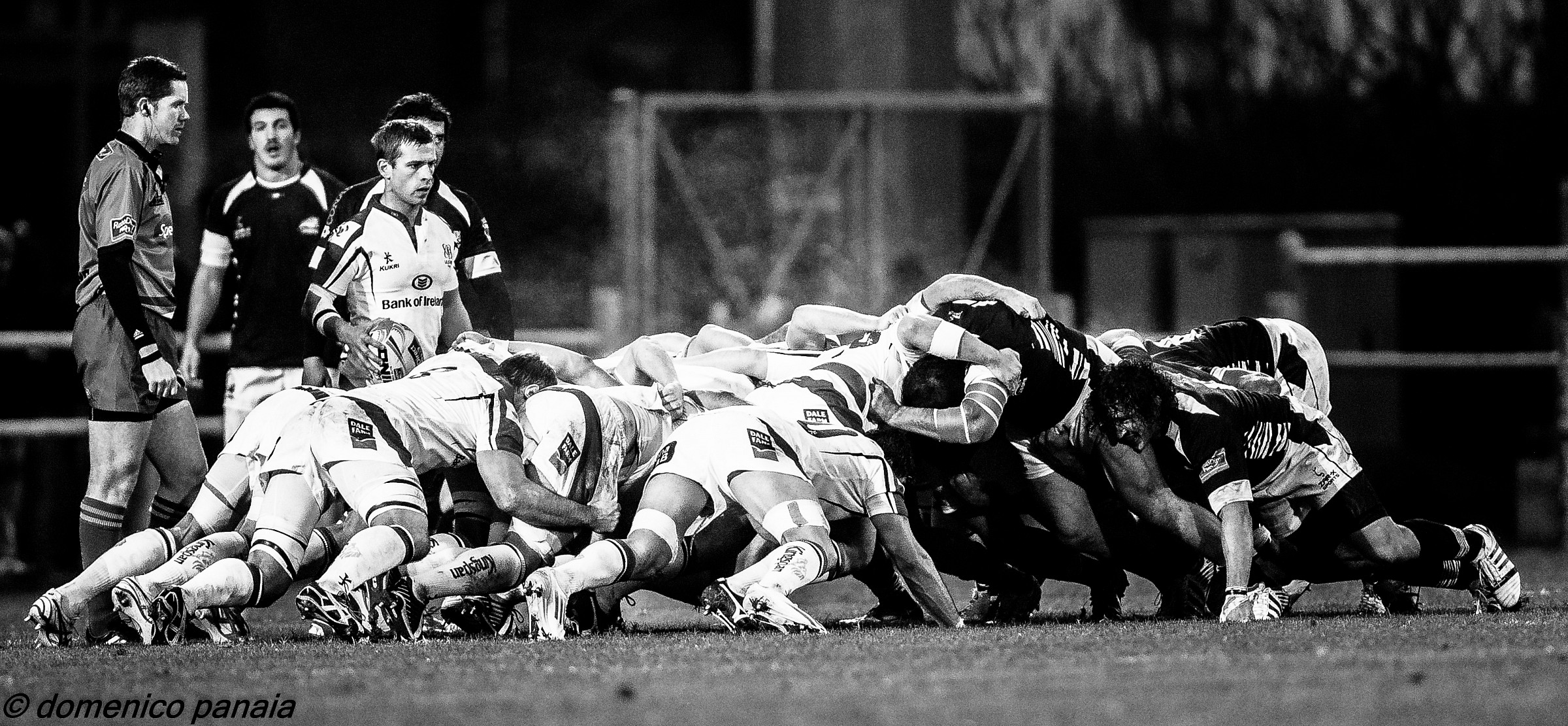 zebre vs ulster