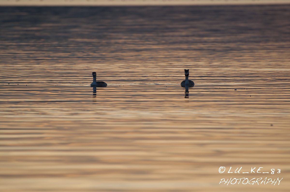 Lago di Pusiano, Italia