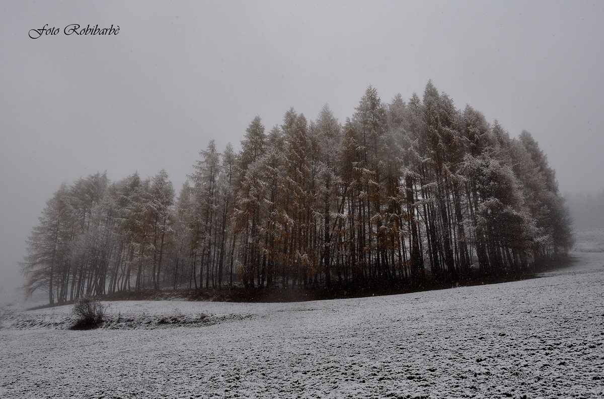 Nevicata d' autunno .....