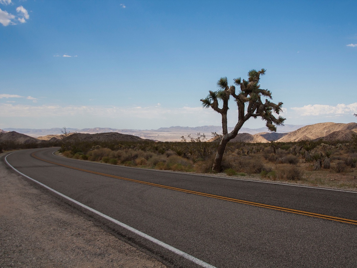 Joshua Tree National Park