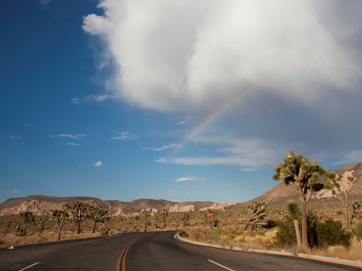 Joshua Tree National Park
