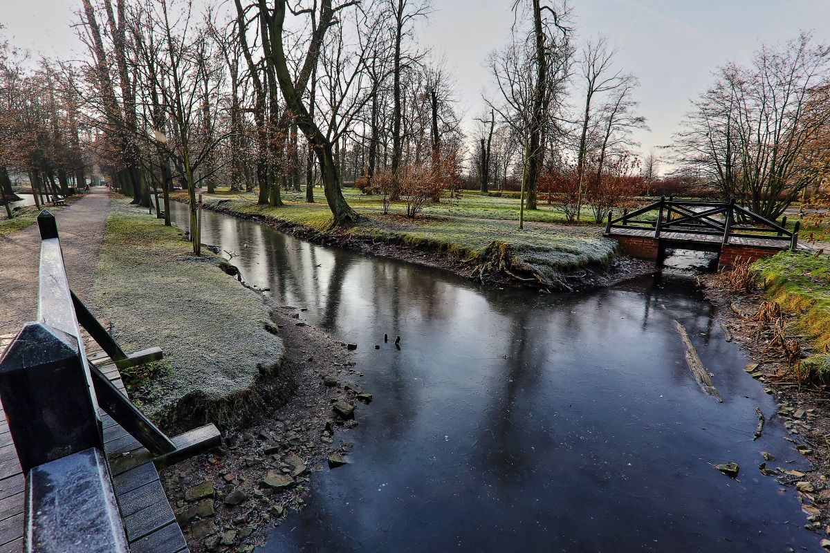 Autunno - primo ghiaccio.