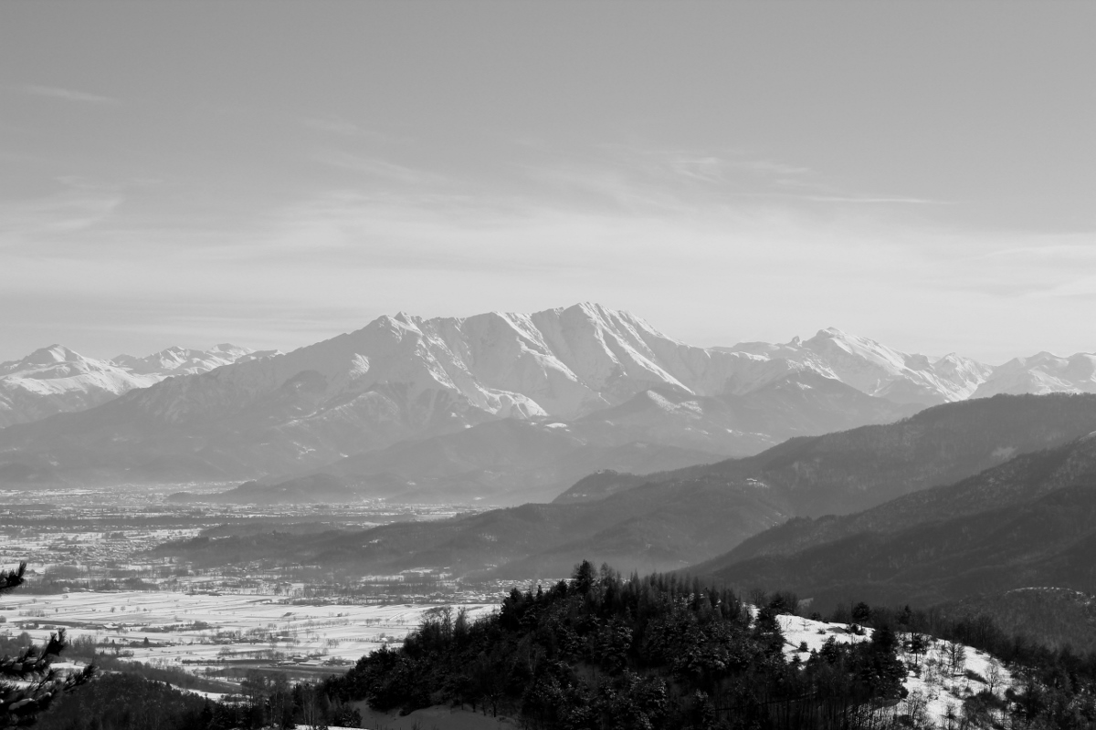 bisalta bianco e nero