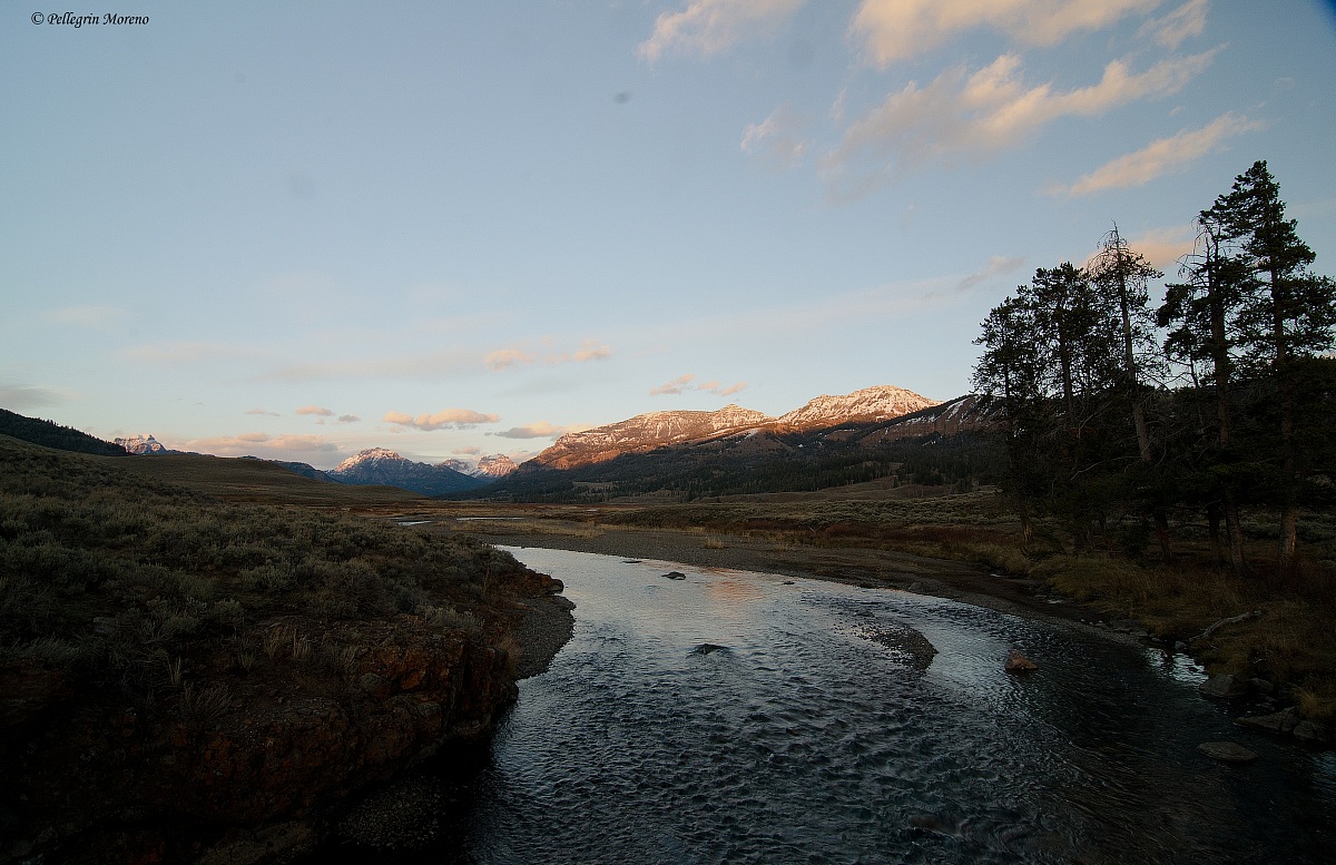 Lamar River (Yellowstone)