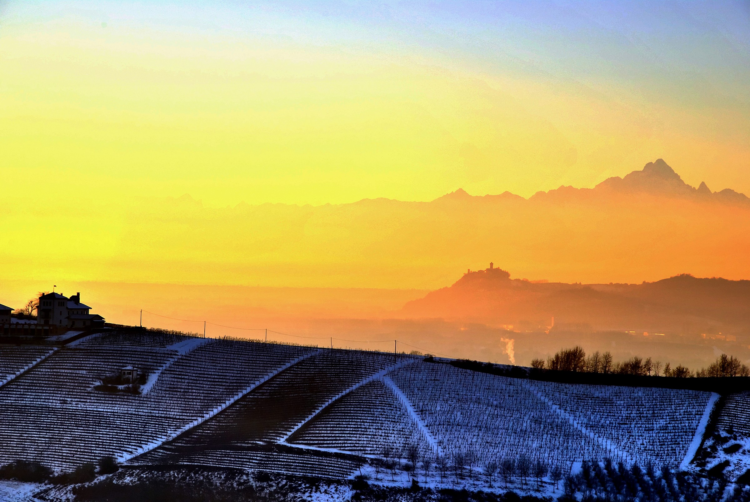 foschia nelle langhe 2