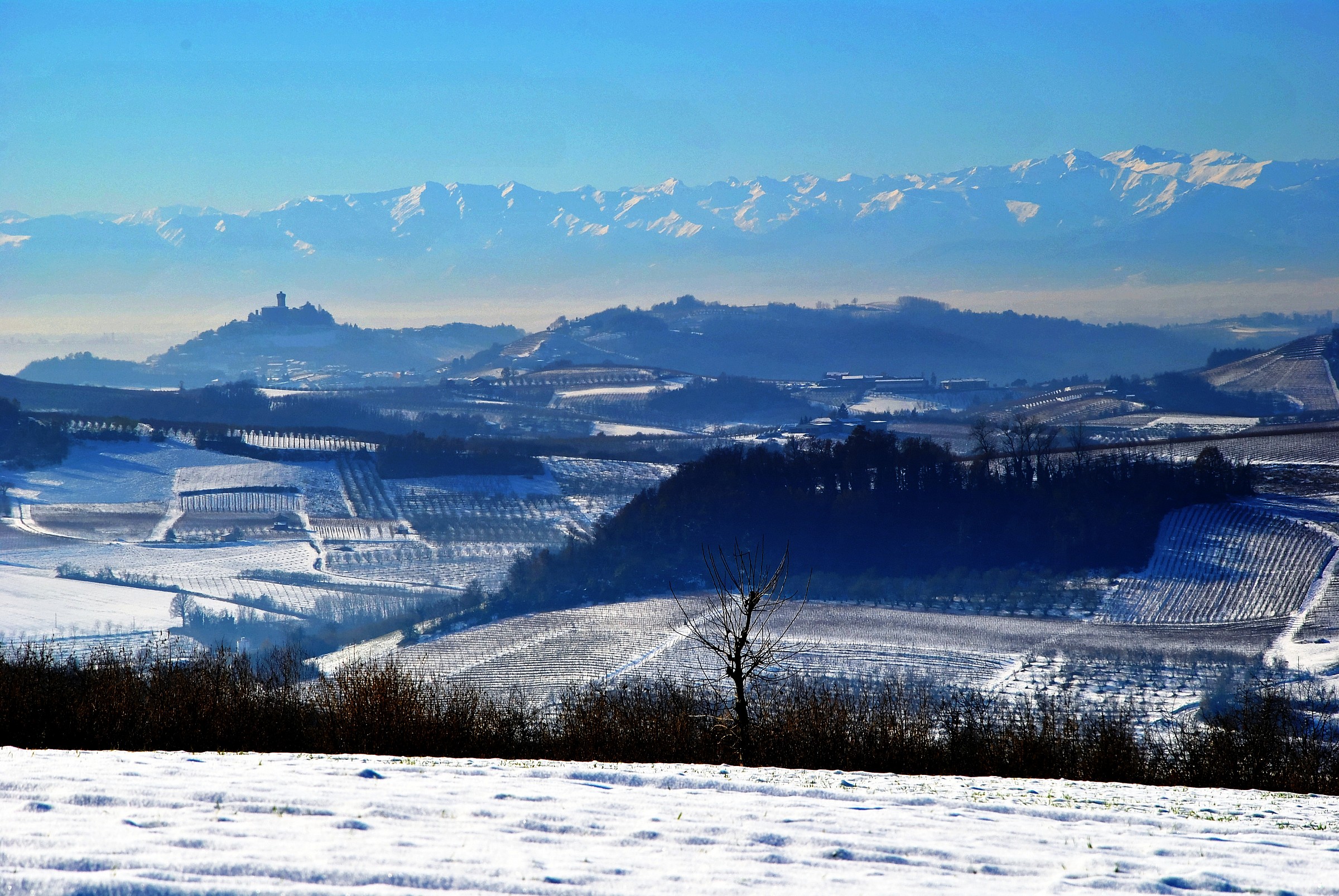 foschia nelle langhe 3