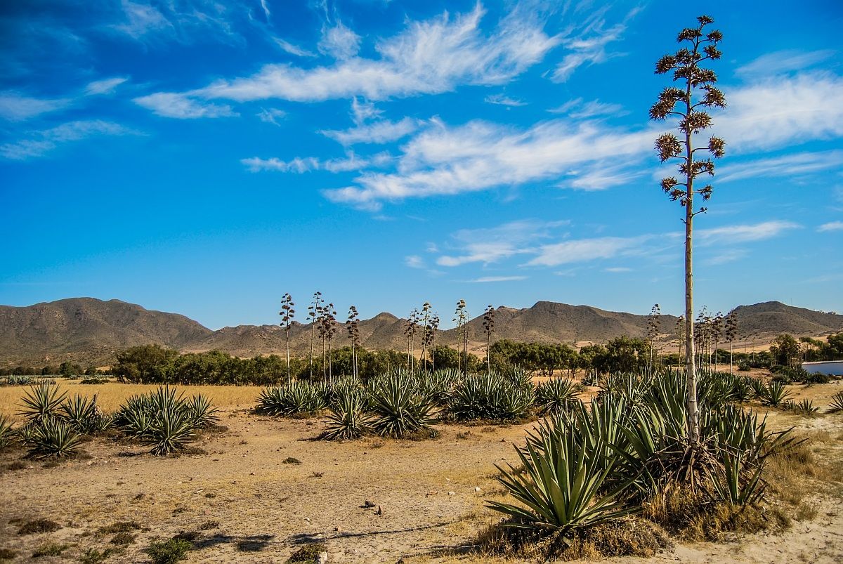 Natural Park Cabo de Gata
