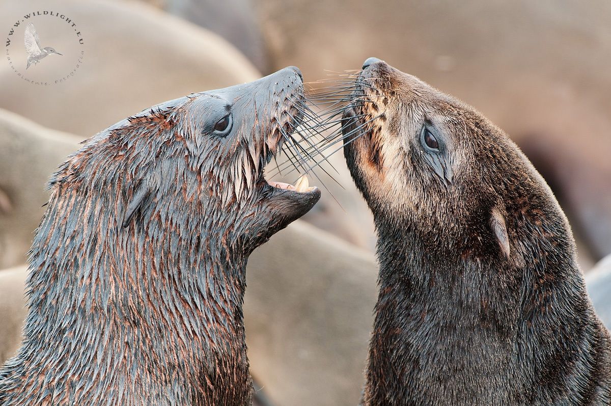 discussion face to face