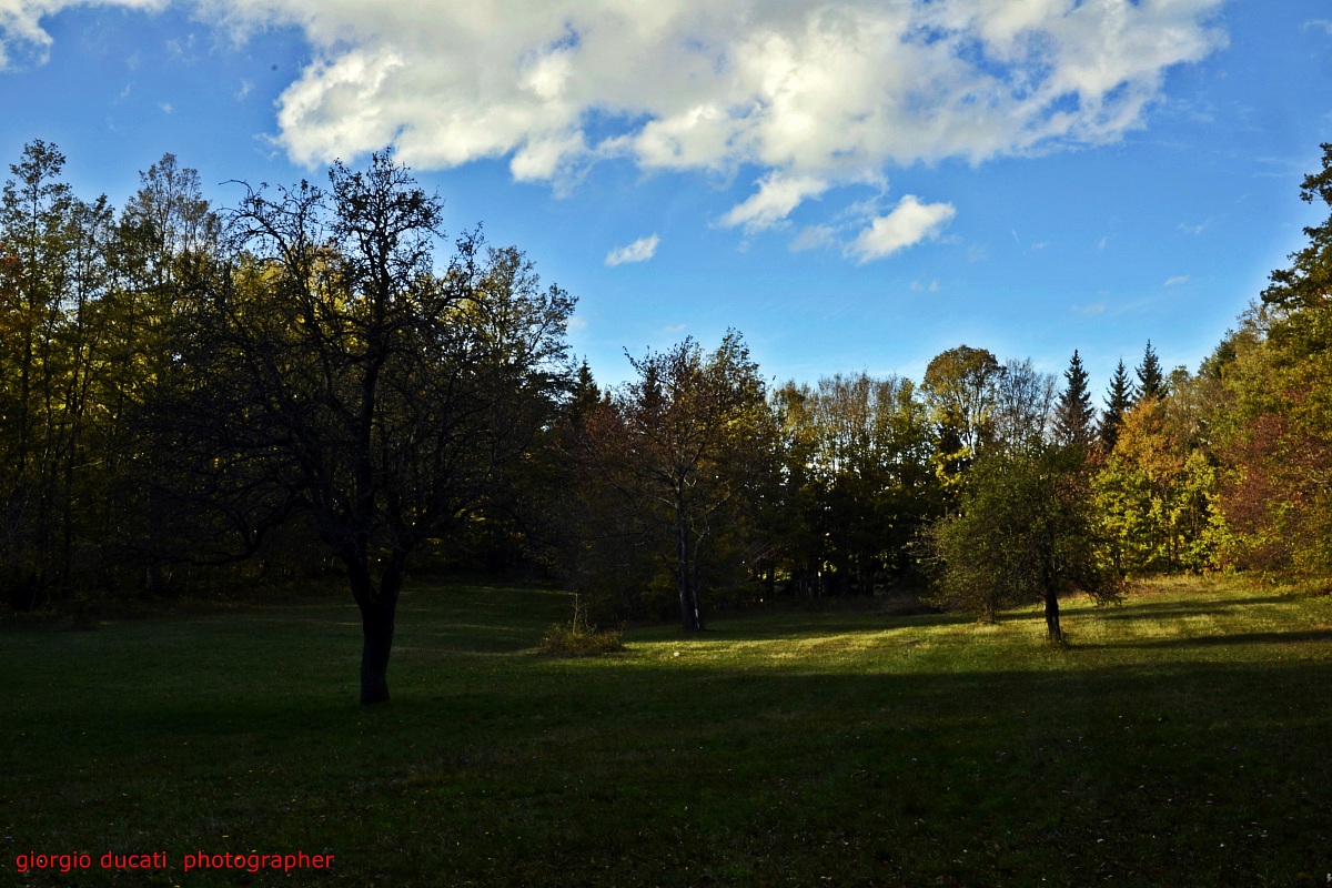 Faeto 1000 (paeseaggio autumn)