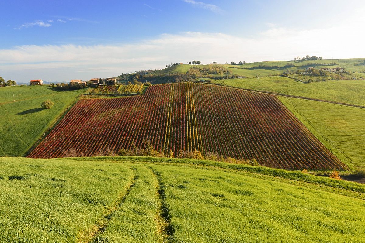 The valley of Lambrusco