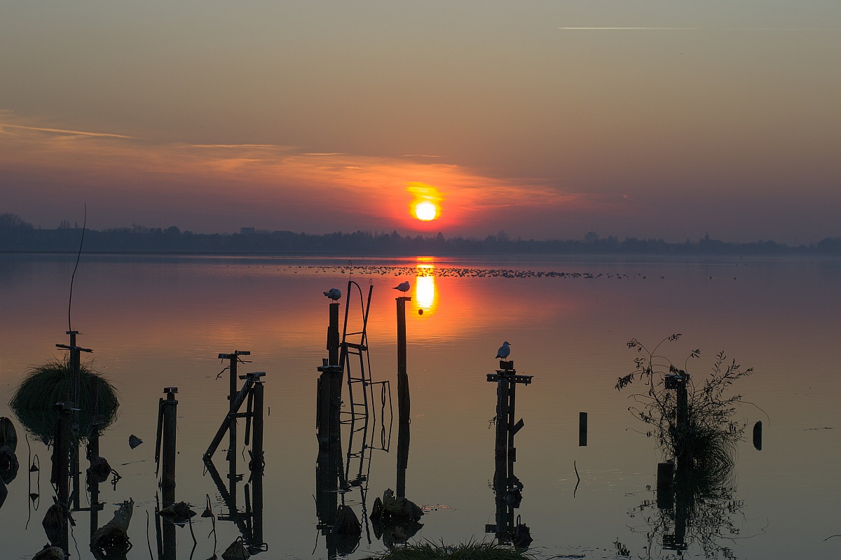 Sunset on the lake 2