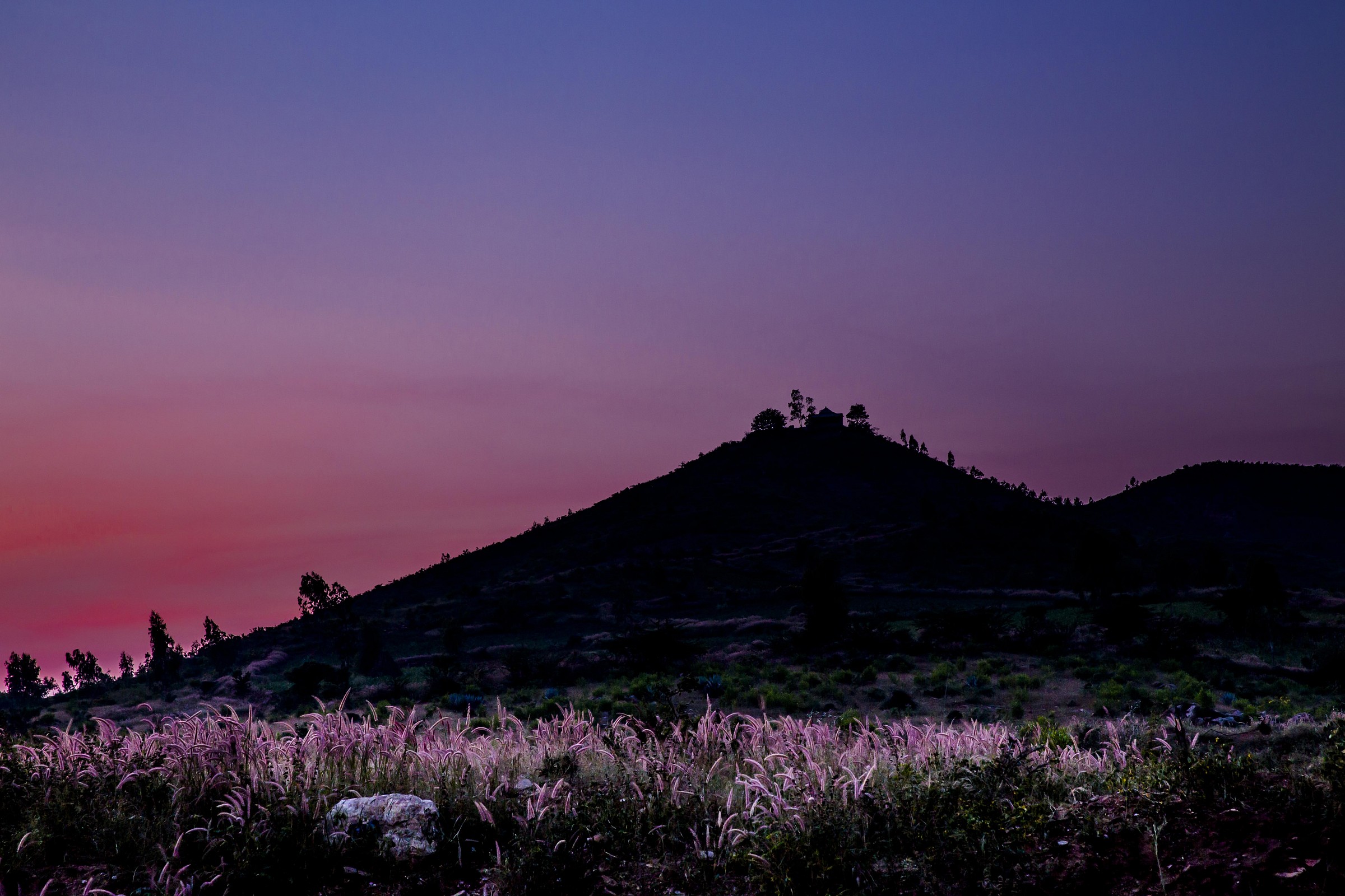 Y e l l a m m a  H i l l - Gajaminal