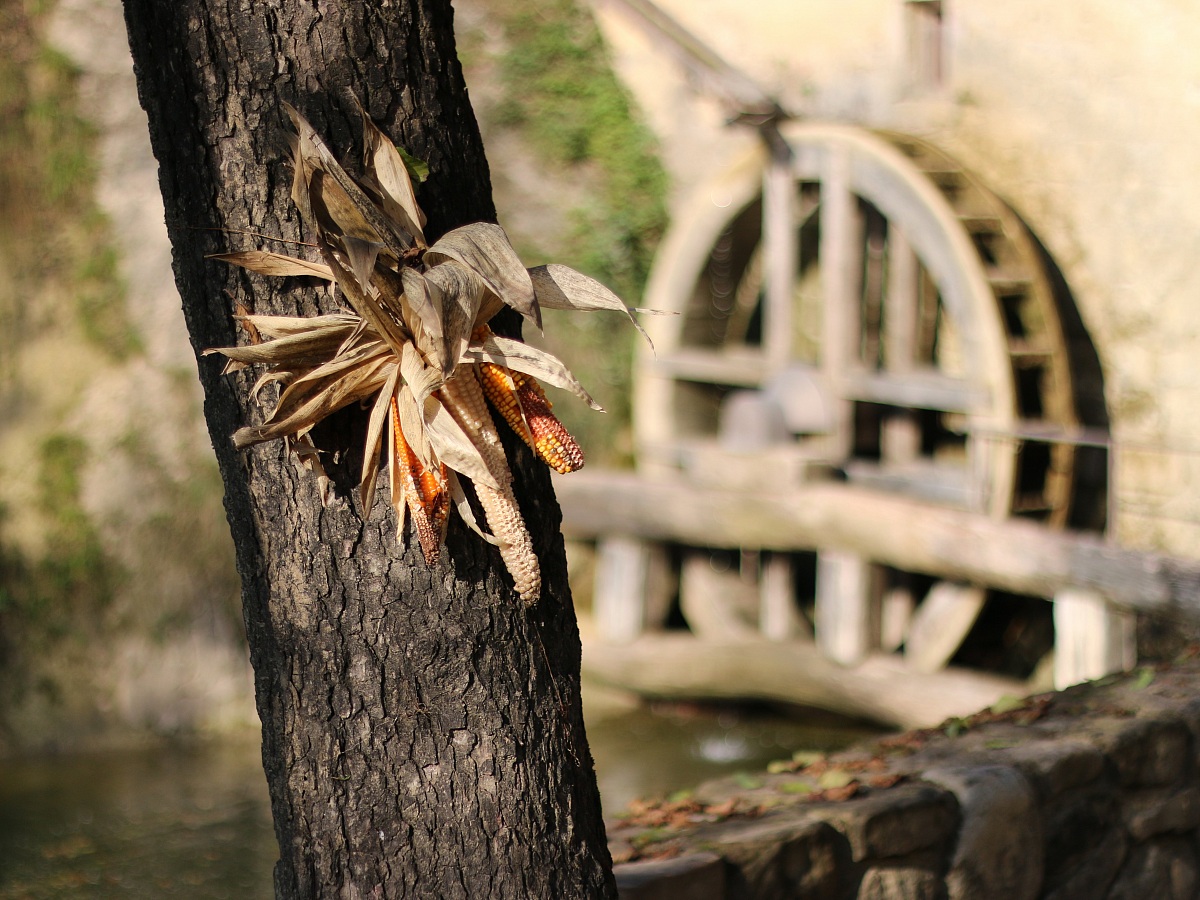 Mulinetto della Croda - Refrontolo
