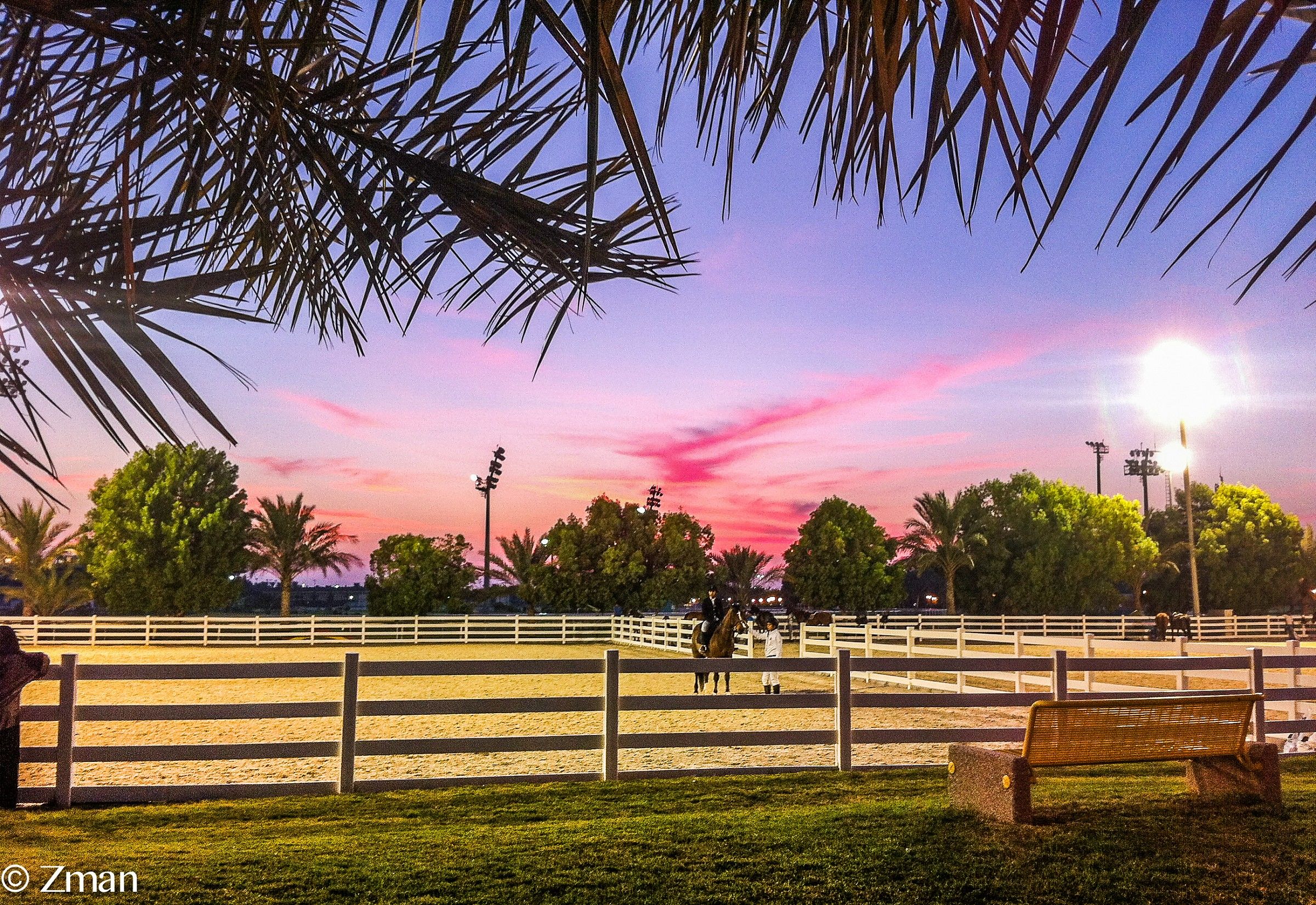 The Equestrian Club at Sunset