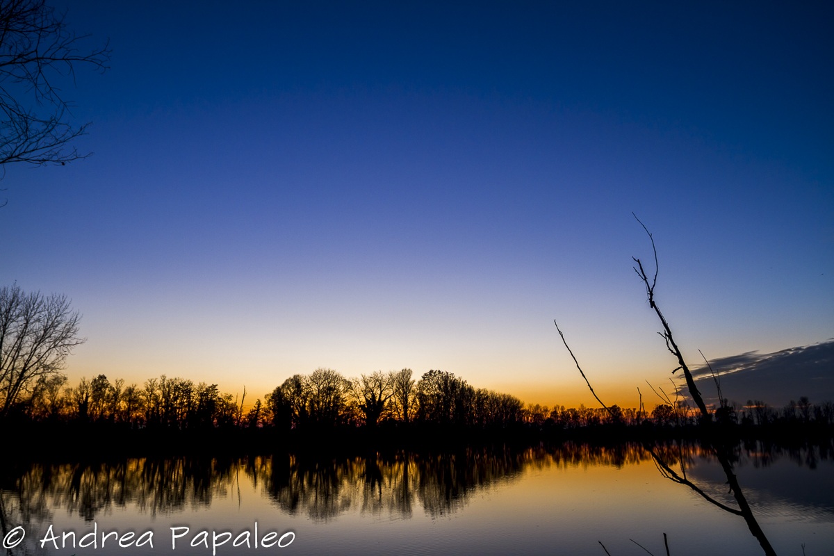 Reflections on the lake