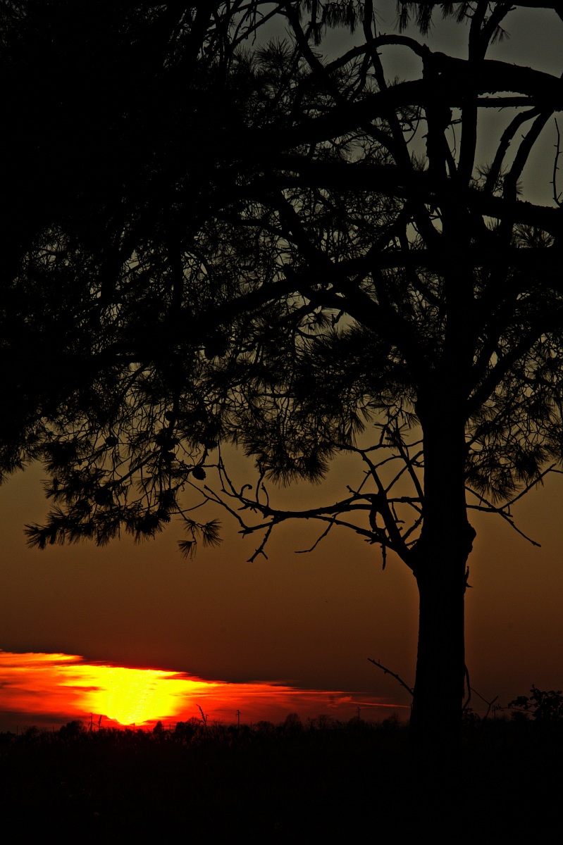 ... positive current ...