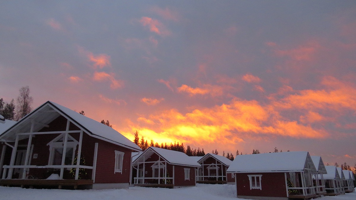 dawn dappled the forest catches fire