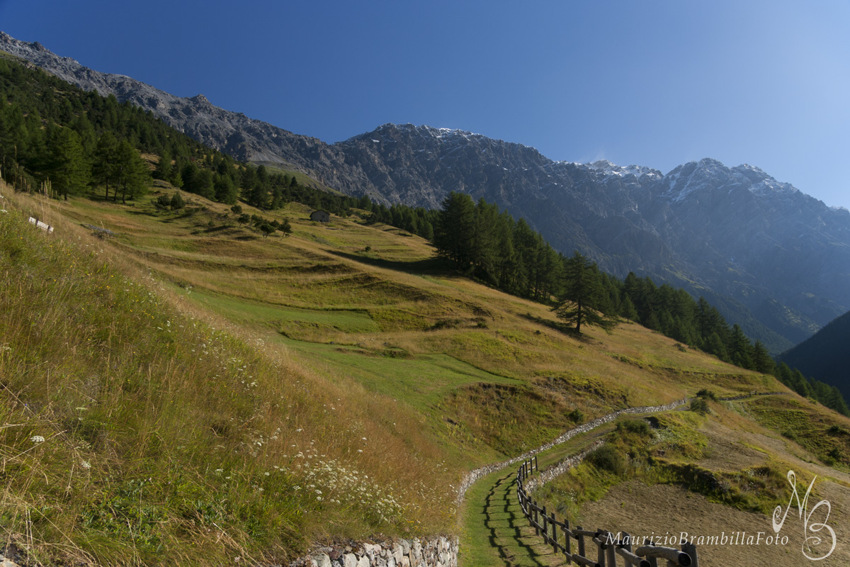 Zebrù on the road to the Alpine V