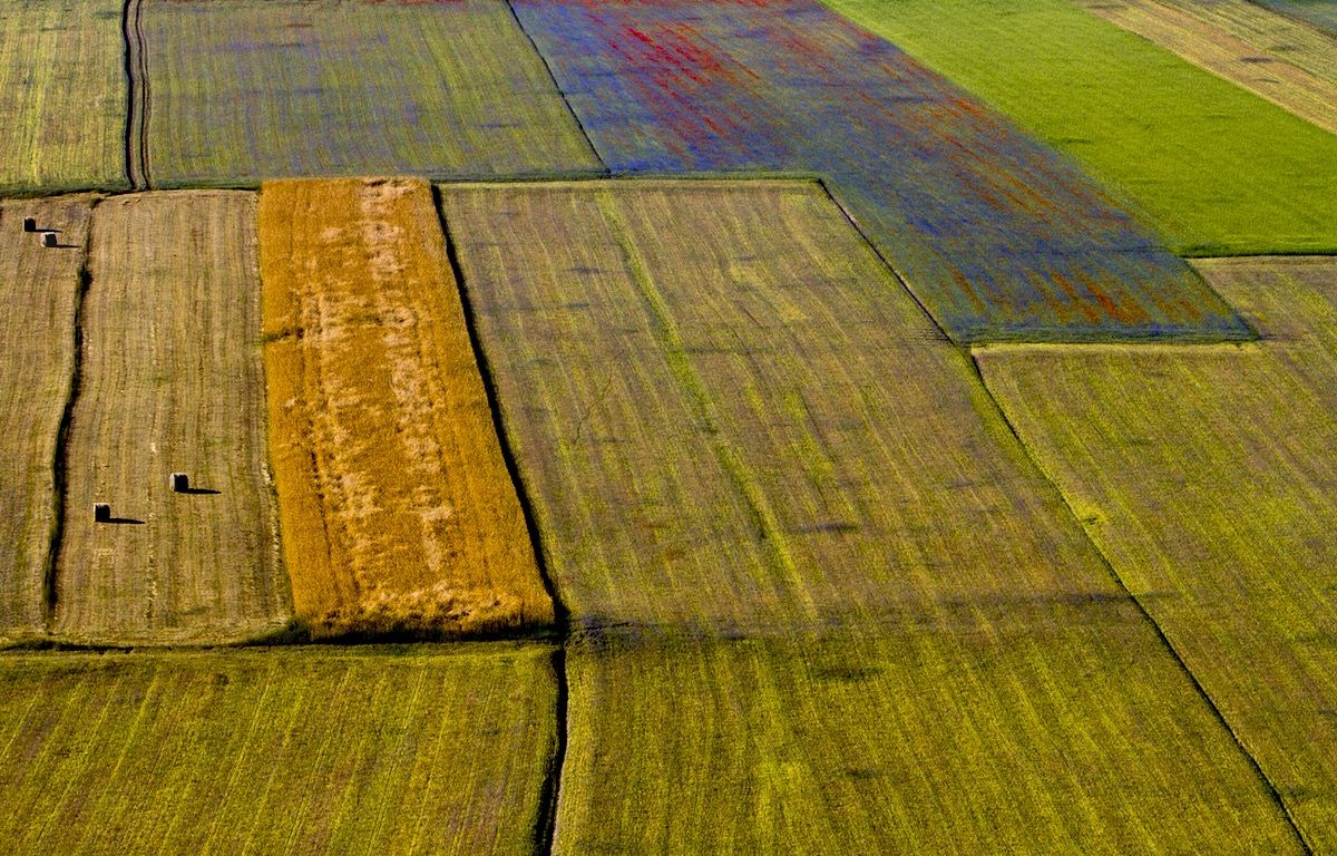 I tappeti di Castelluccio