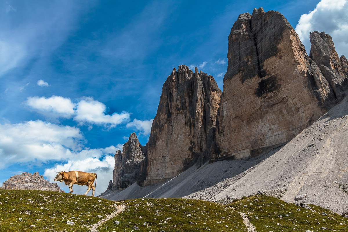 Sotto le Tre Cime di Lavaredo