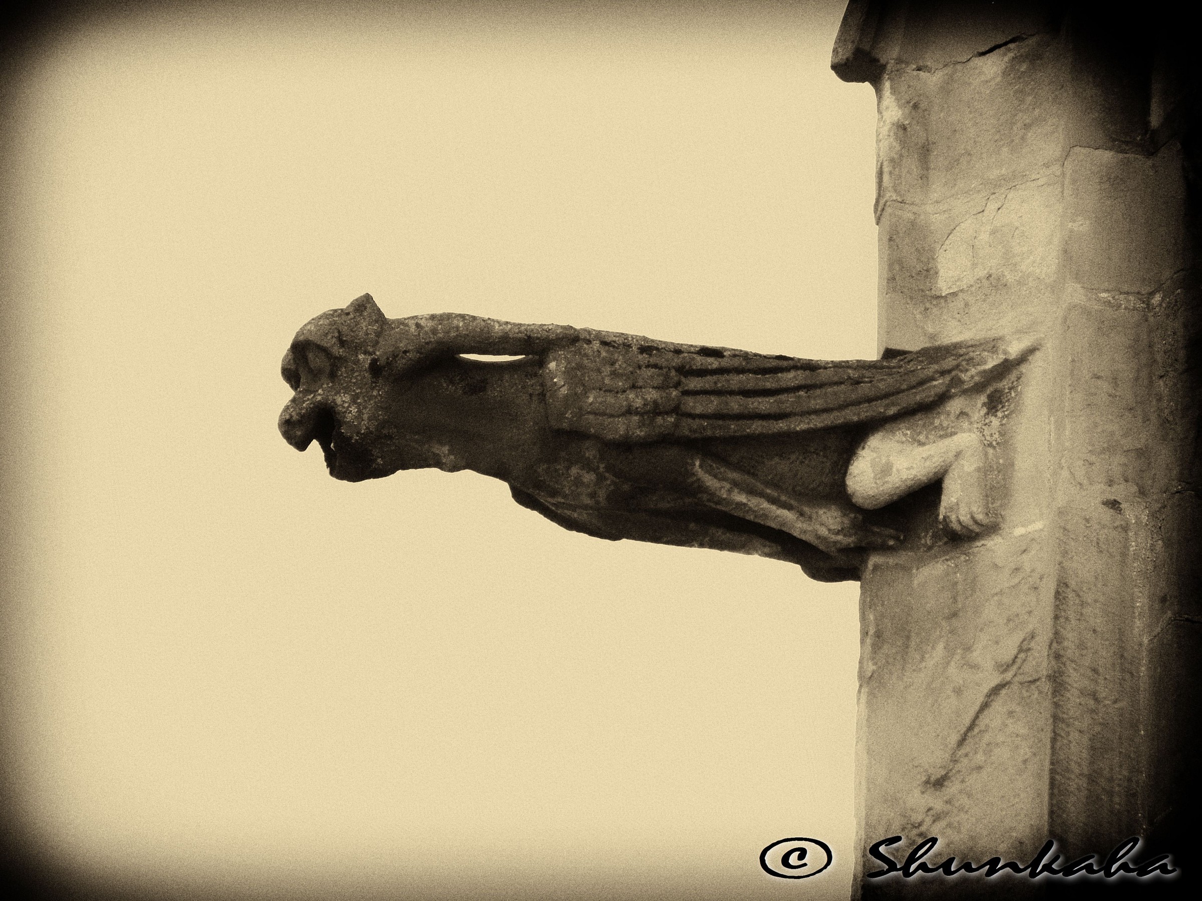 Duomo di Bolzano - Gargoyle