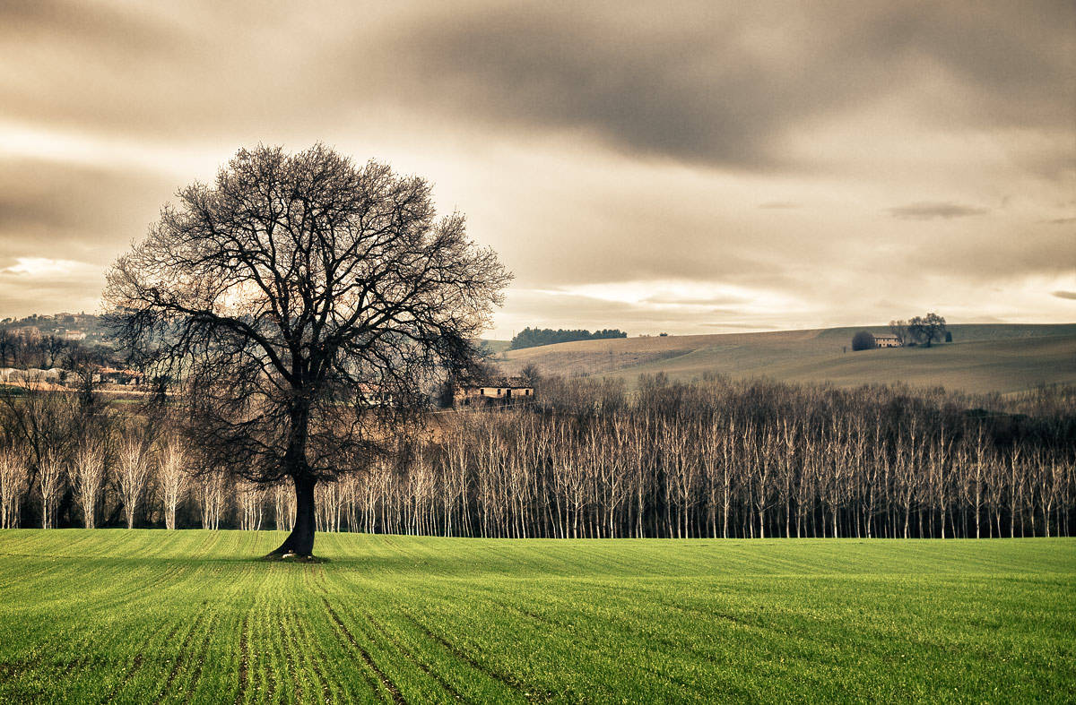 Campagna marchigiana