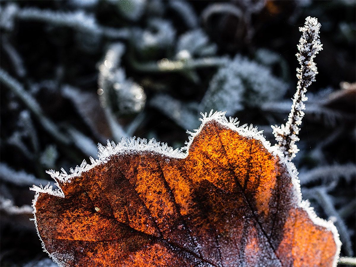 Brrrr, che freddo!!!!