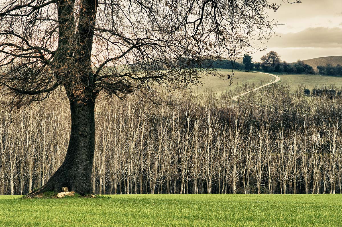 L'Amore per la mia terra