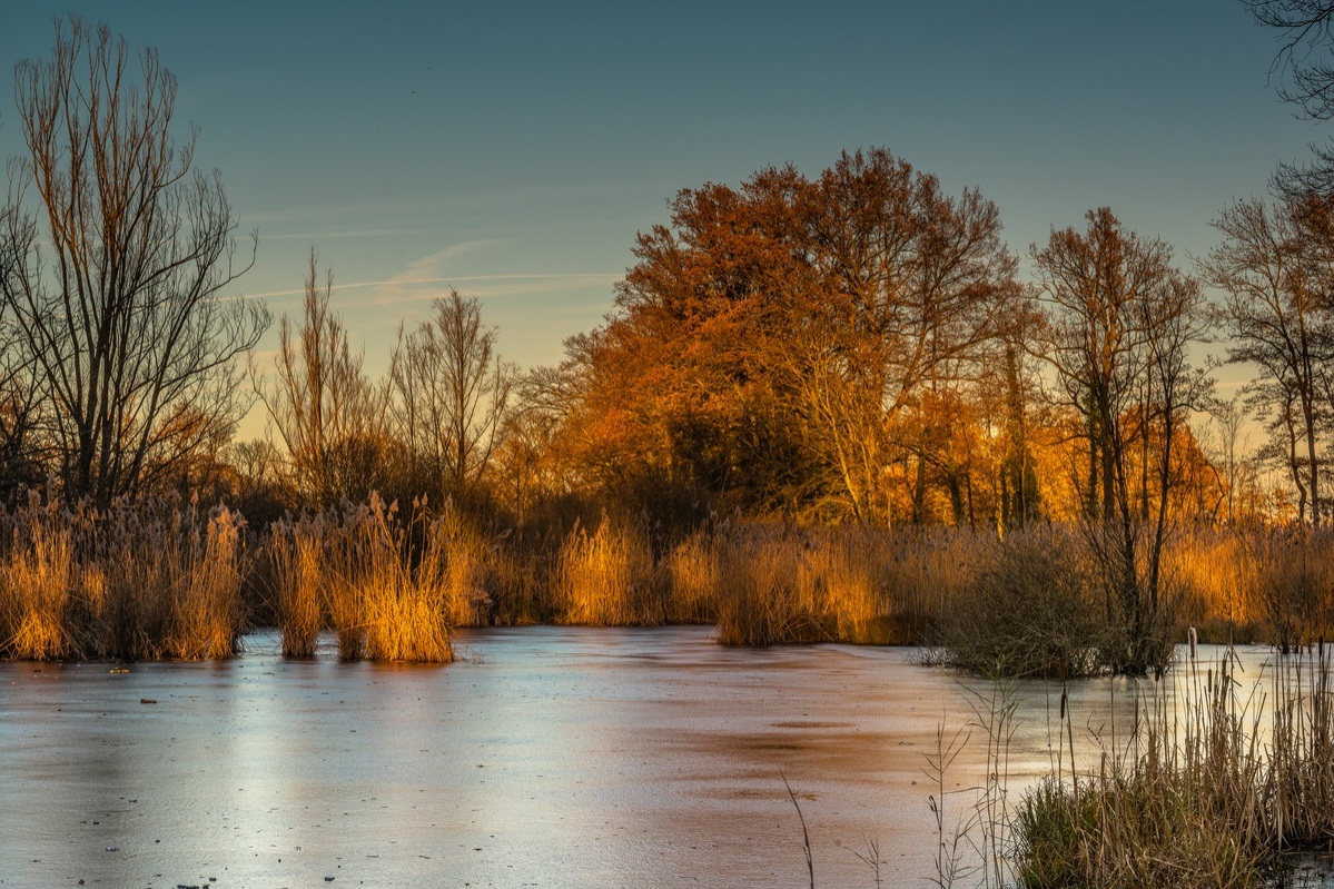 Geneva - Pond of Mategnin