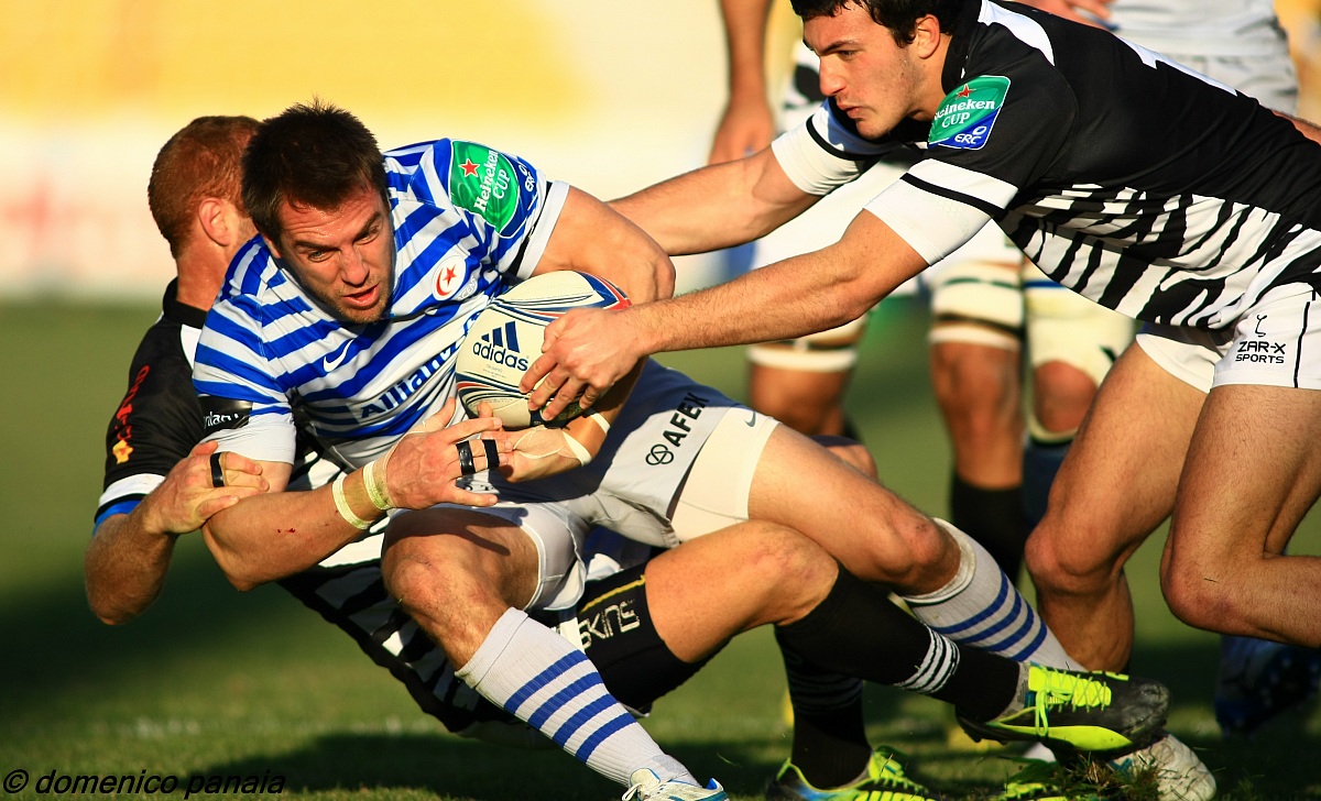 zebre vs saracens (heineken cup)