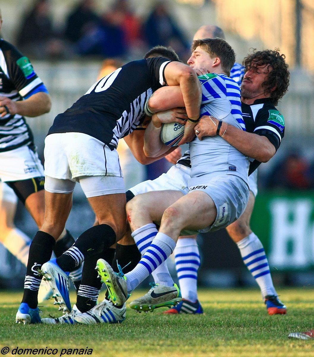 zebre vs saracens (heineken cup)
